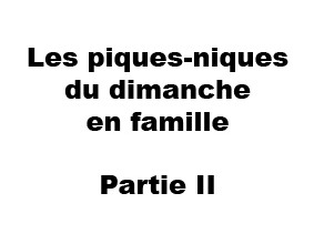 pique nique